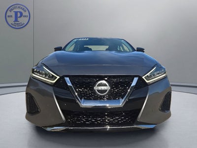 2023 Nissan Maxima SV